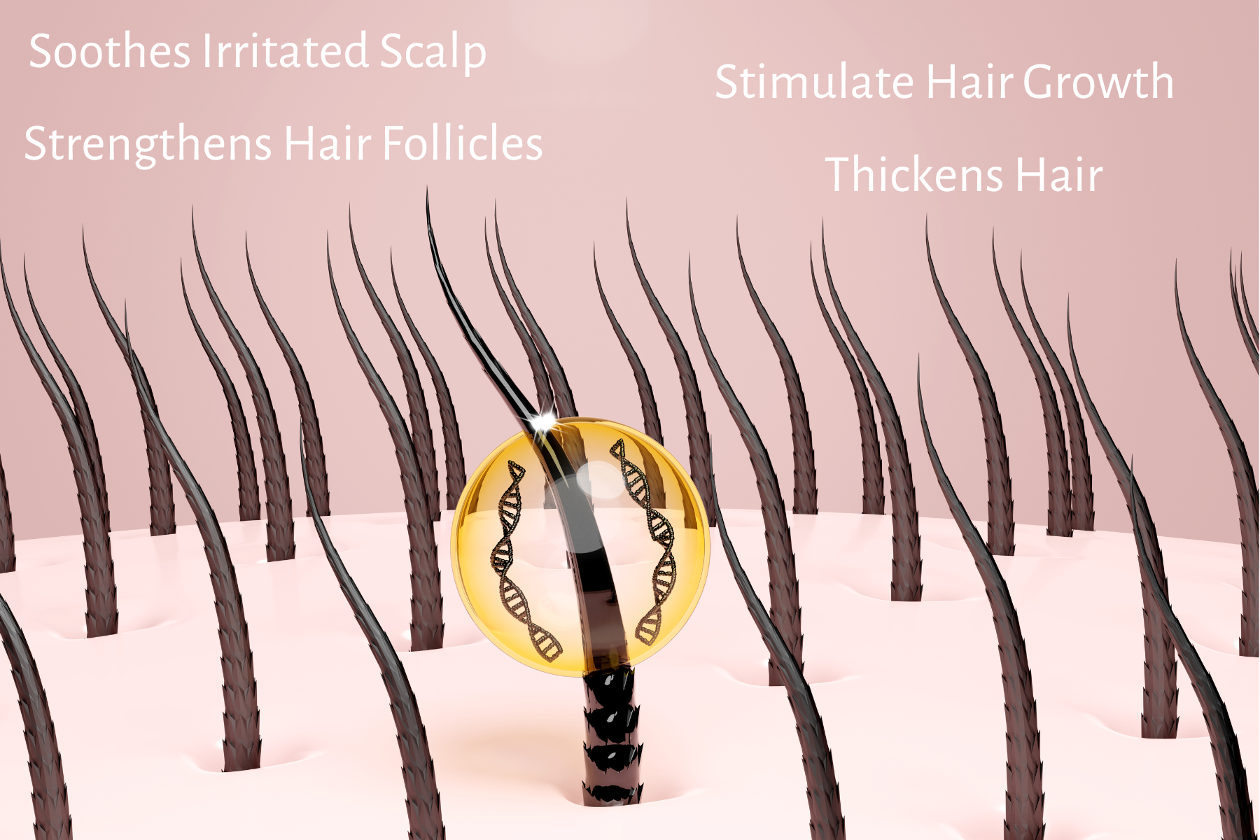 Hair Growth Oil for Thicker, Healthier Hair